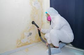 Best Real Estate Mold Inspection  in Thousand Palms, CA